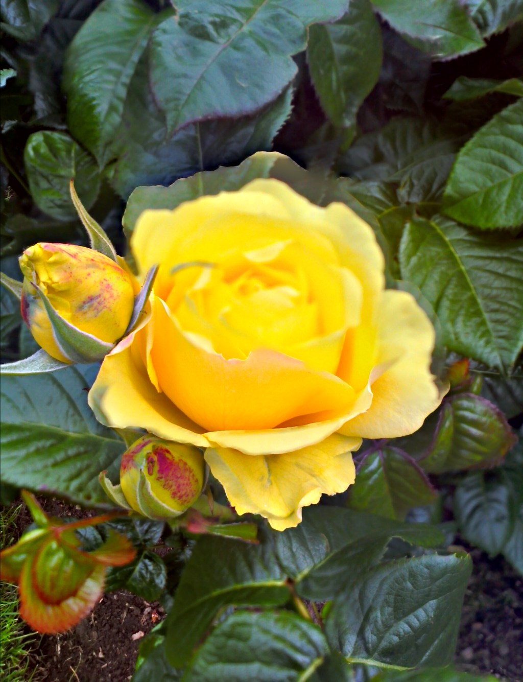 Take all that&nbsp;remains